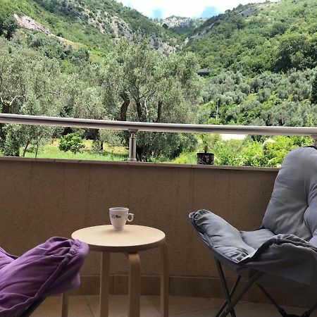 Vila V Lux Apartments Petrovac 外观 照片