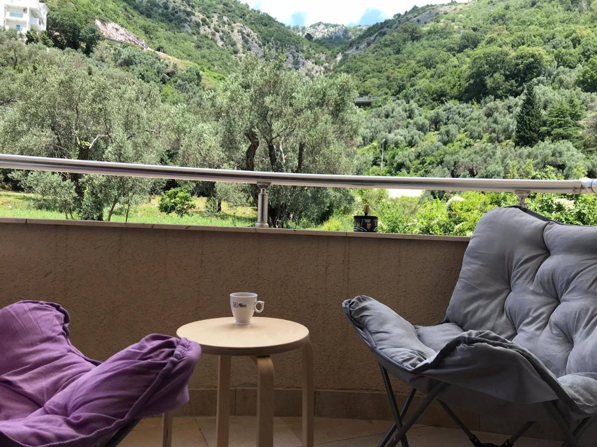 Vila V Lux Apartments Petrovac 外观 照片