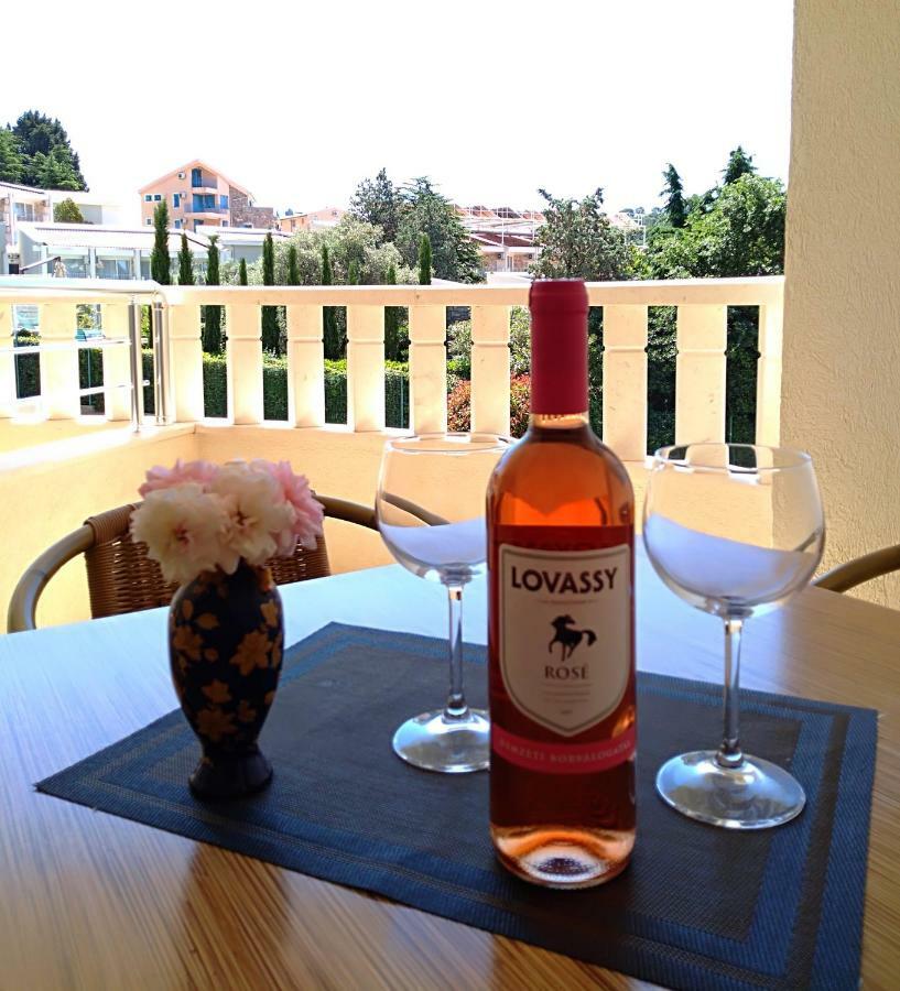Vila V Lux Apartments Petrovac 外观 照片
